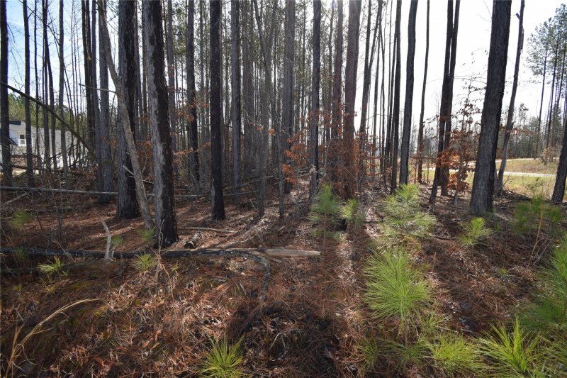 Property image 3 at 5102 Oxbow Run Lane, Clover, SC 29710