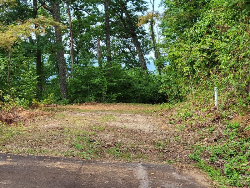 Property image 5 of 0 Holiday Drive in The Preserve At Jonathan Creek, Waynesville, NC 28785