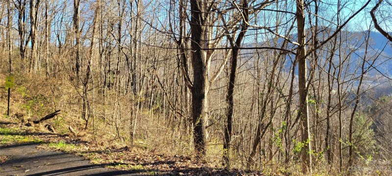 Property image 2 at 0 Rons Ridge, Waynesville, NC 28785