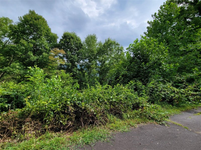 Property image 2 at 0 Rons Ridge, Waynesville, NC 28785