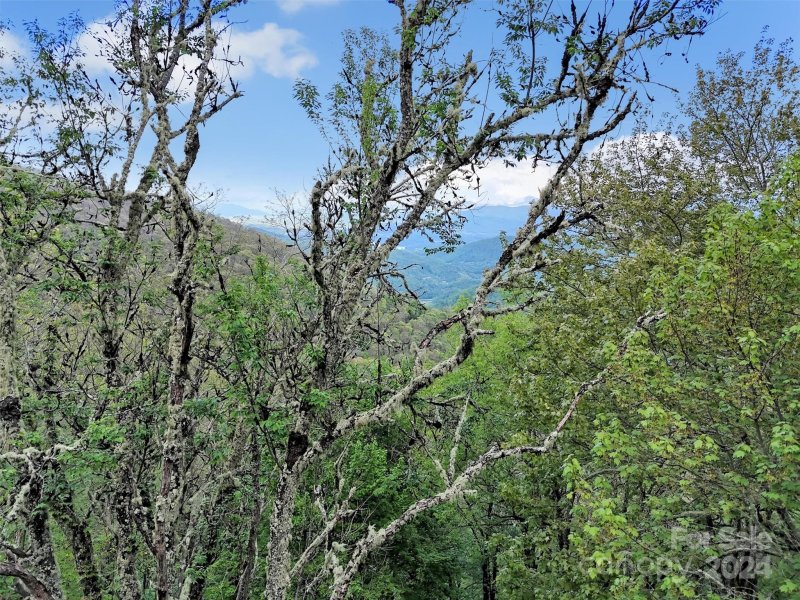 Property image 3 of Lot 18 Quail Ridge Drive in Laurel Heights, Maggie Valley, NC 28751