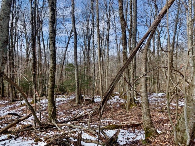 Property image 2 at 135 Greenbriar Road, Beech Mountain, NC 28604