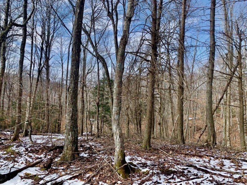 Property image 3 at 135 Greenbriar Road, Beech Mountain, NC 28604