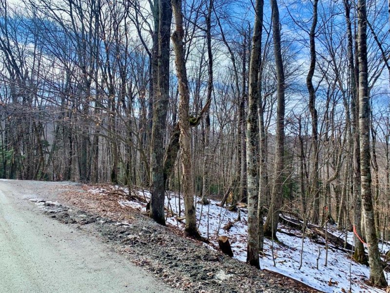 Property image 4 at 135 Greenbriar Road, Beech Mountain, NC 28604