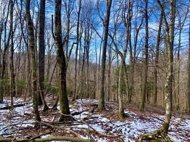 Property image 5 at 135 Greenbriar Road, Beech Mountain, NC 28604