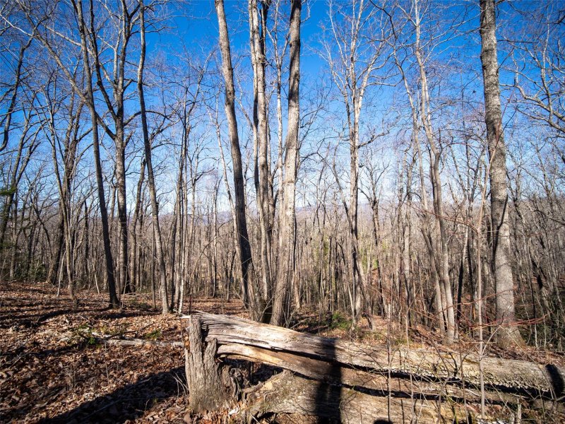 Property image 5 at 222 South Slope Lane, Old Fort, NC 28762