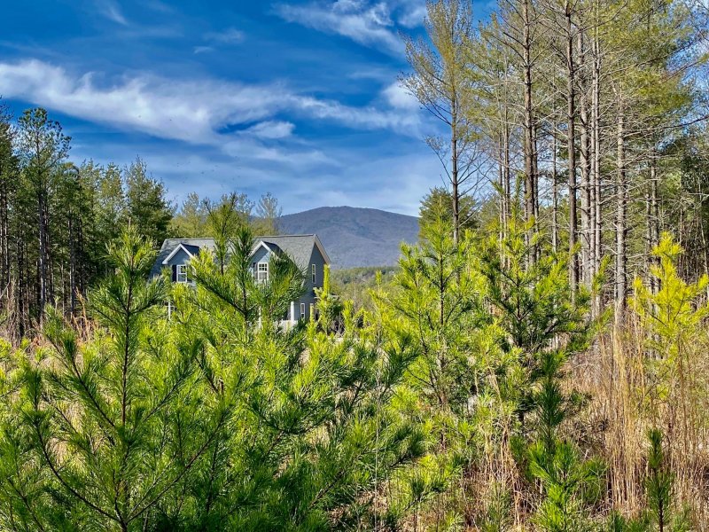 Property image 2 at 1283 Saylor Way, Nebo, NC 28761