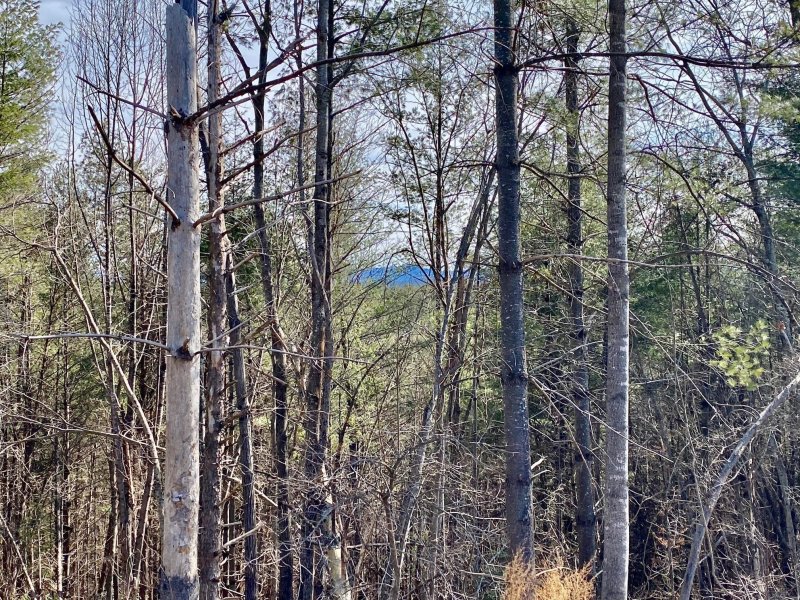 Property image 3 at 1283 Saylor Way, Nebo, NC 28761