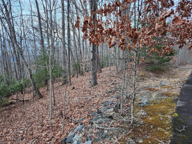 Property image 2 at Lot 2 Paisley Lane, Pisgah Forest, NC 28768