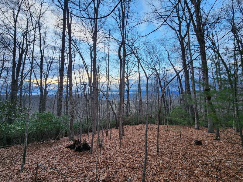 Property image 3 at Lot 2 Paisley Lane, Pisgah Forest, NC 28768