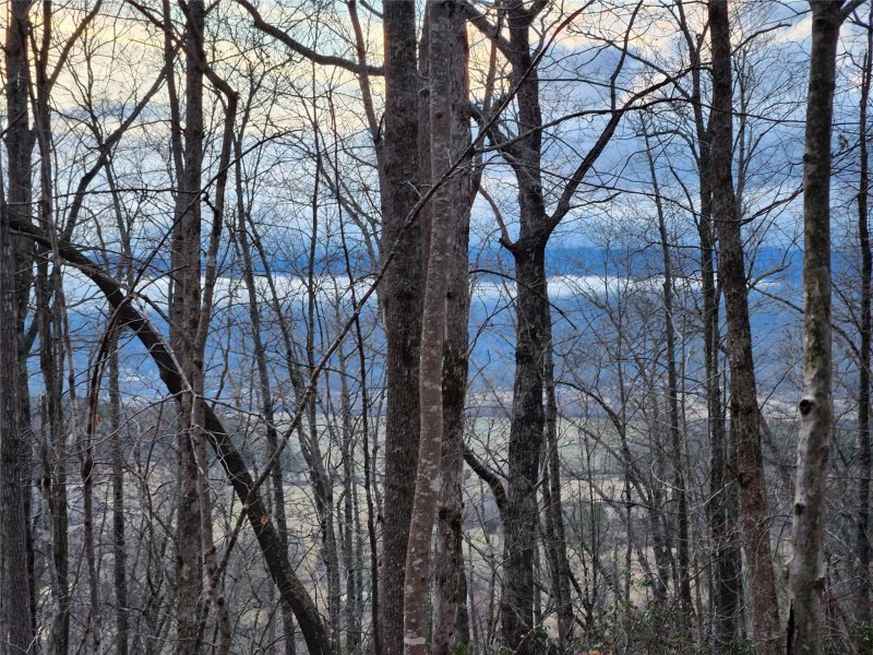 Property image 4 at Lot 2 Paisley Lane, Pisgah Forest, NC 28768