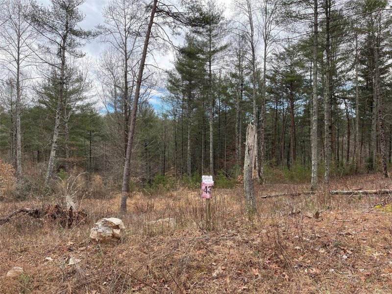 Property image 2 at 3078 Bear Paw Avenue, Valdese, NC 28690