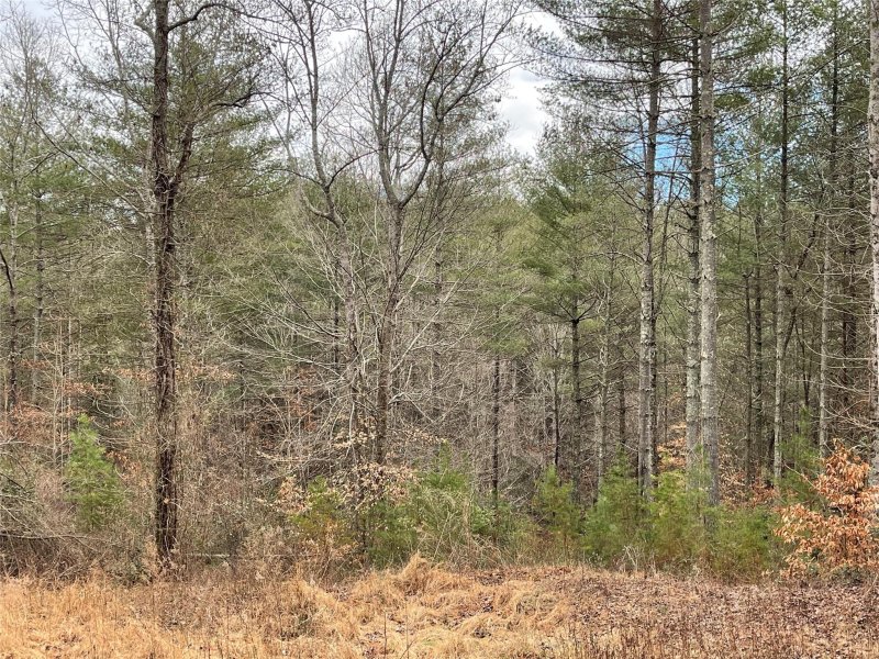 Property image 4 at 3078 Bear Paw Avenue, Valdese, NC 28690