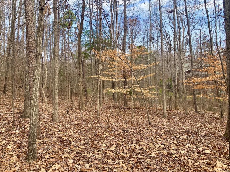 Property image 3 at 9001 Pleasant Ridge Road, Charlotte, NC 28215