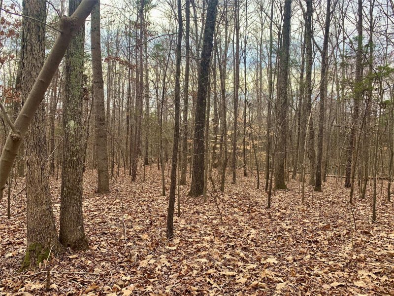 Property image 4 at 9001 Pleasant Ridge Road, Charlotte, NC 28215