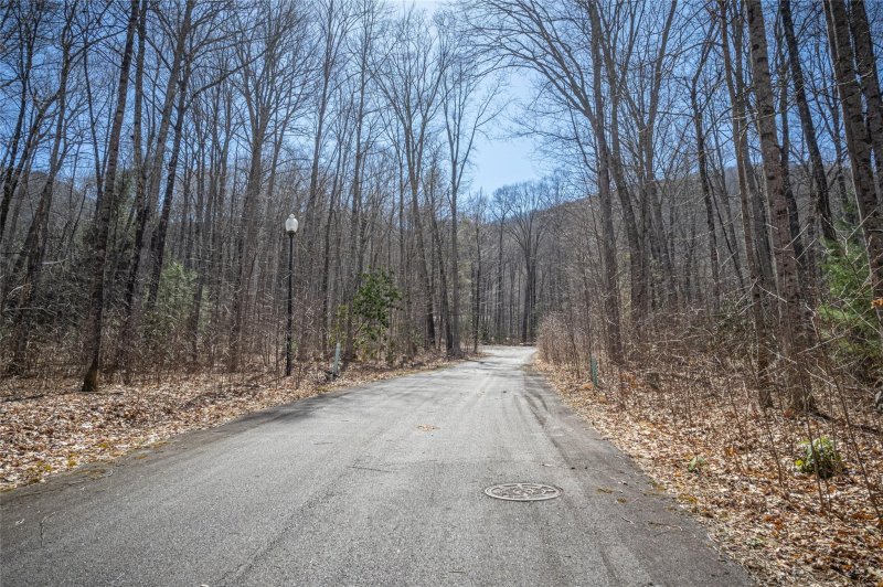 Property image 4 at Lot 24 Twinbrook Lane, Maggie Valley, NC 28751