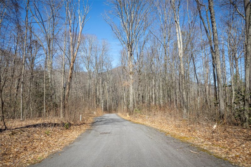 Property image 5 at Lot 24 Twinbrook Lane, Maggie Valley, NC 28751