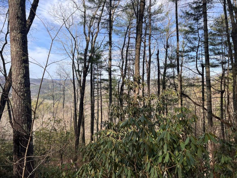 Property image 2 at Tbd Birch Lane, Brevard, NC 28712