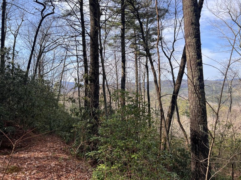 Property image 3 at Tbd Birch Lane, Brevard, NC 28712