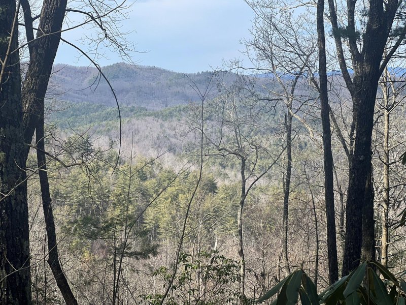 Property image 5 at Tbd Birch Lane, Brevard, NC 28712