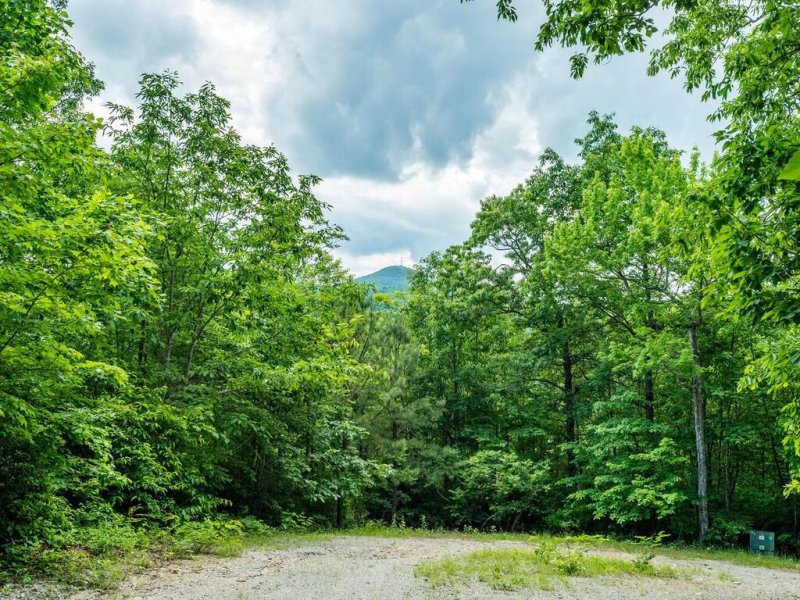 Property image 5 at Tbd N Songbird Court, Hendersonville, NC 28792