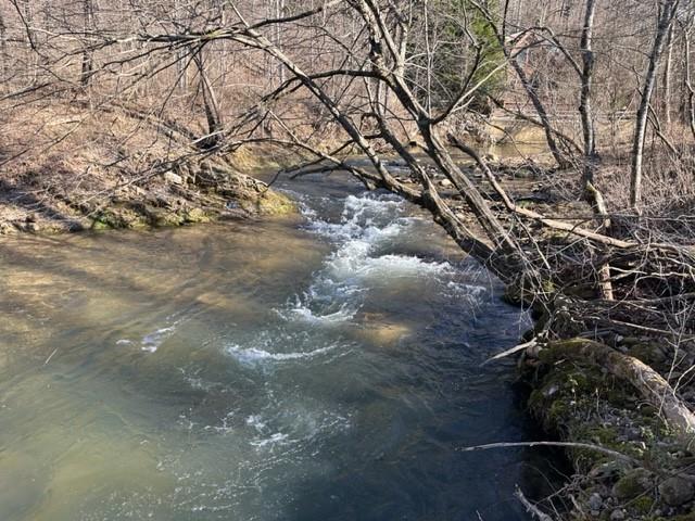 Property image 2 at 0000 Reedy Run None, Hendersonville, NC 28792