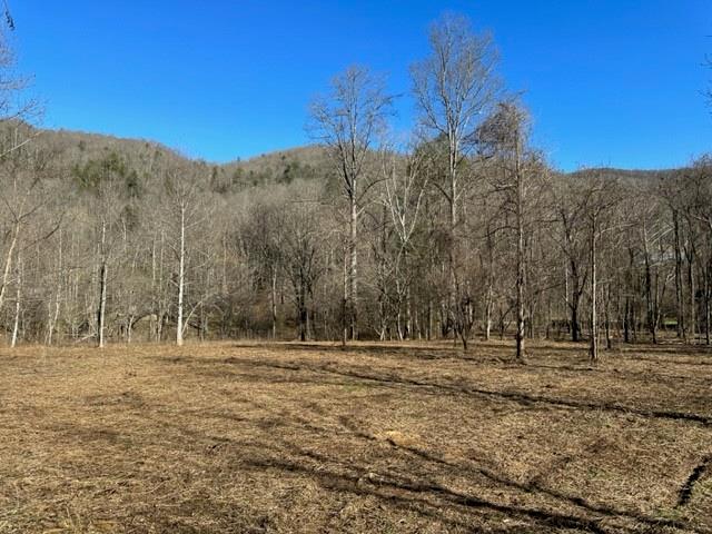 Property image 3 at 0000 Reedy Run None, Hendersonville, NC 28792