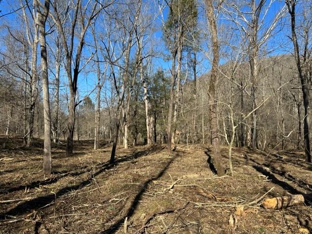 Property image 4 at 0000 Reedy Run None, Hendersonville, NC 28792