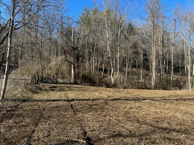 Property image 5 at 0000 Reedy Run None, Hendersonville, NC 28792