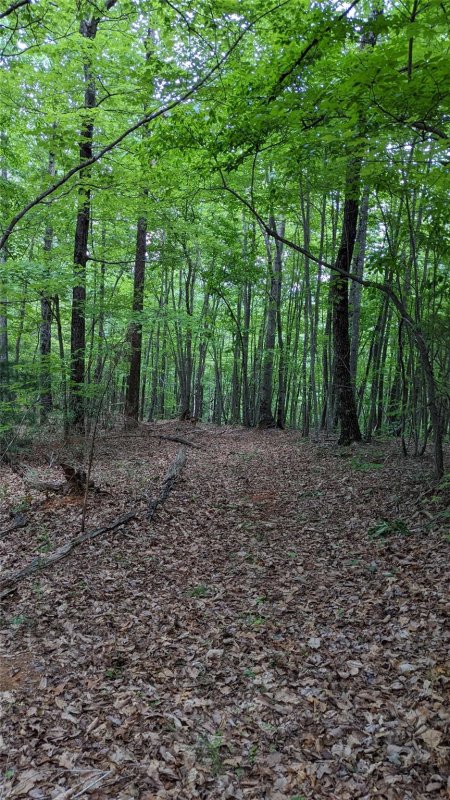 Property image 3 at Lot 69 Mountain Crest Drive, Marion, NC 28752