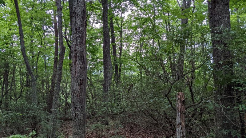 Property image 4 at Lot 69 Mountain Crest Drive, Marion, NC 28752