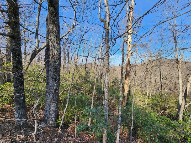 Property image 2 of Lot 22 Sunset Ridge Drive in White Oak Mountain, Columbus, NC 28722