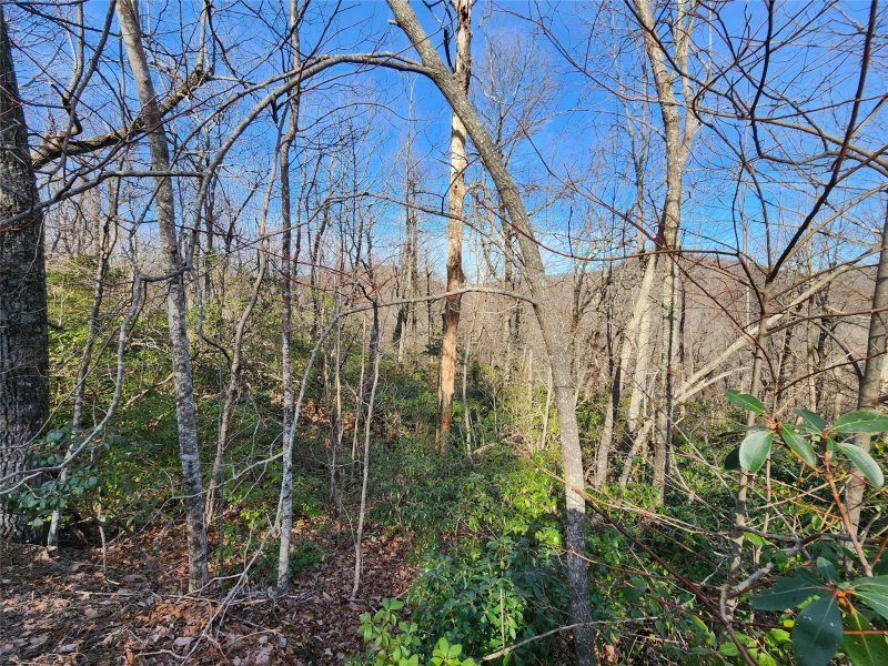 Property image 3 of Lot 22 Sunset Ridge Drive in White Oak Mountain, Columbus, NC 28722