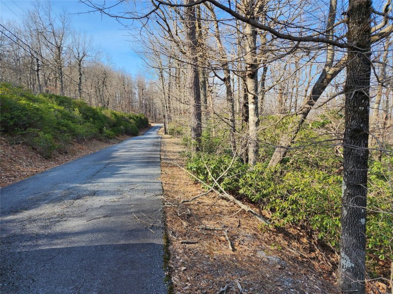 Property image 5 of Lot 22 Sunset Ridge Drive in White Oak Mountain, Columbus, NC 28722