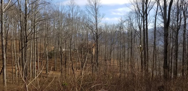 Property image 3 at Lot 19 Mountain Watch Drive, Waynesville, NC 28785