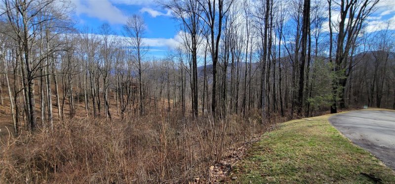 Property image 4 at Lot 19 Mountain Watch Drive, Waynesville, NC 28785