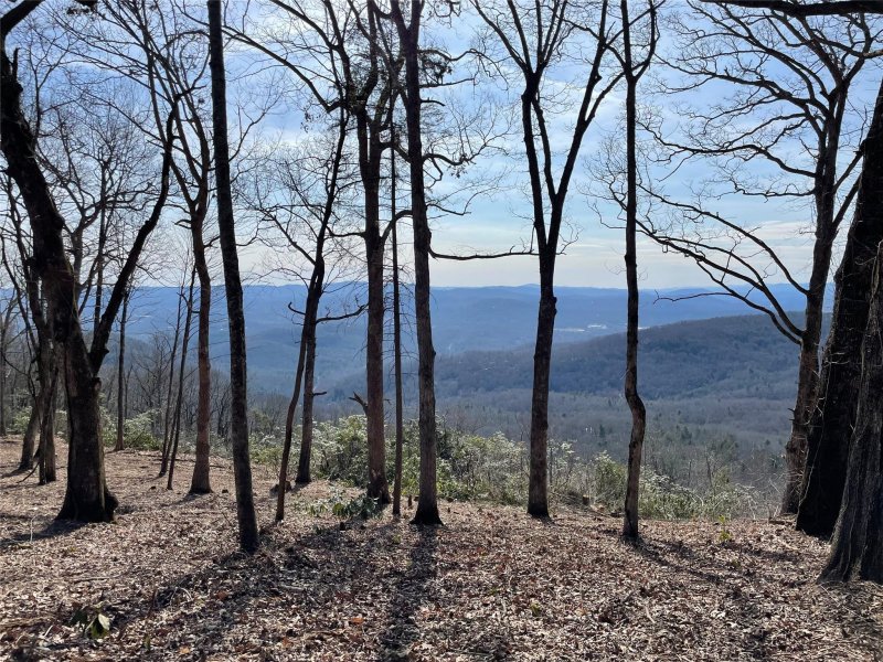 Property image 3 at 0000 East Garden Trail, Hendersonville, NC 28792