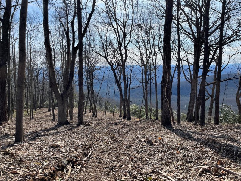 Property image 4 at 0000 East Garden Trail, Hendersonville, NC 28792