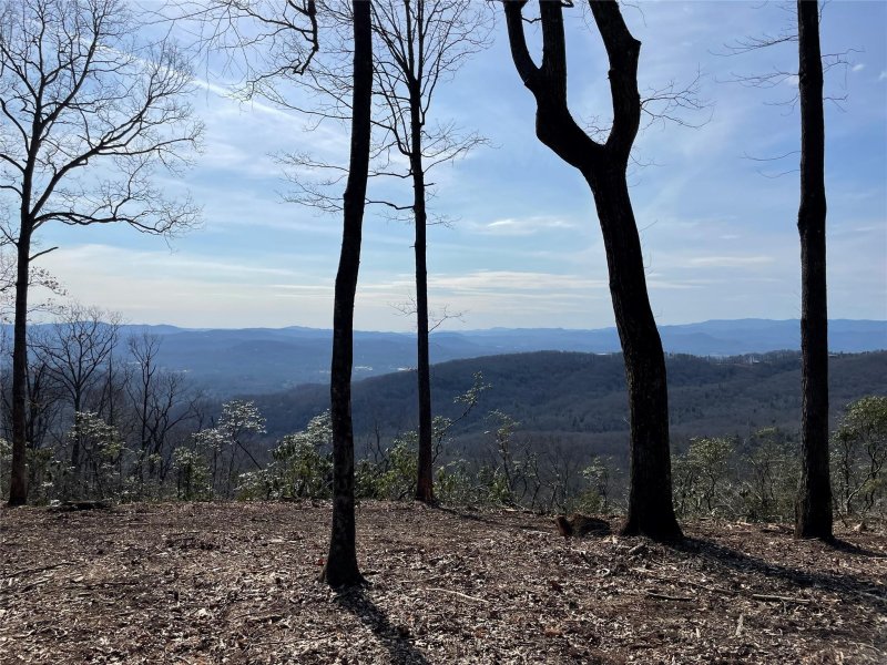 Property image 3 at 0000 East Garden Trail, Hendersonville, NC 28792