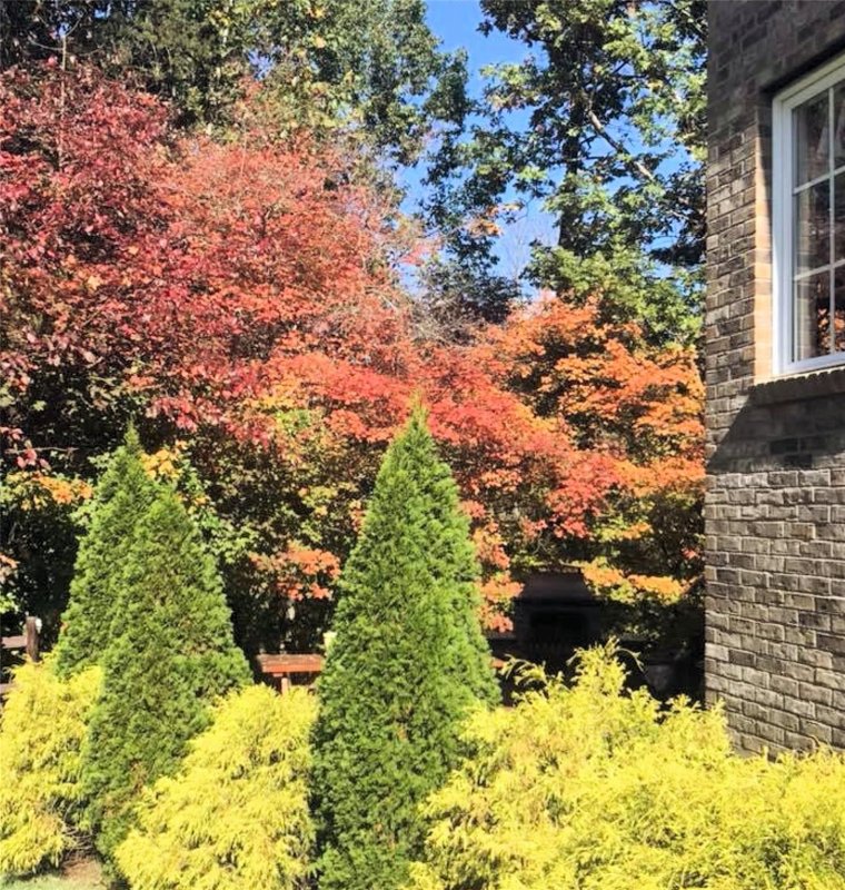 Property image 3 at 11063 Holiday Cove Road, Tega Cay, SC 29708