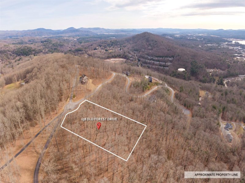 Property image 2 at 138 Old Forest Drive, Asheville, NC 28803