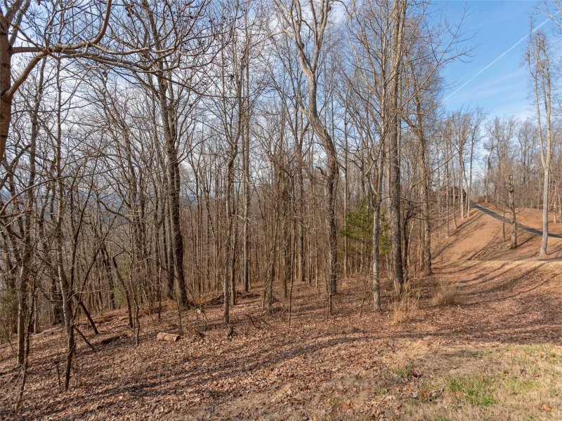 Property image 3 at 138 Old Forest Drive, Asheville, NC 28803