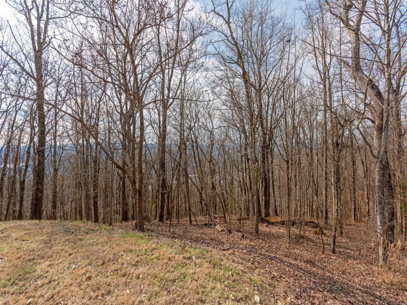 Property image 4 at 138 Old Forest Drive, Asheville, NC 28803