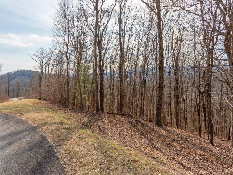 Property image 5 at 138 Old Forest Drive, Asheville, NC 28803