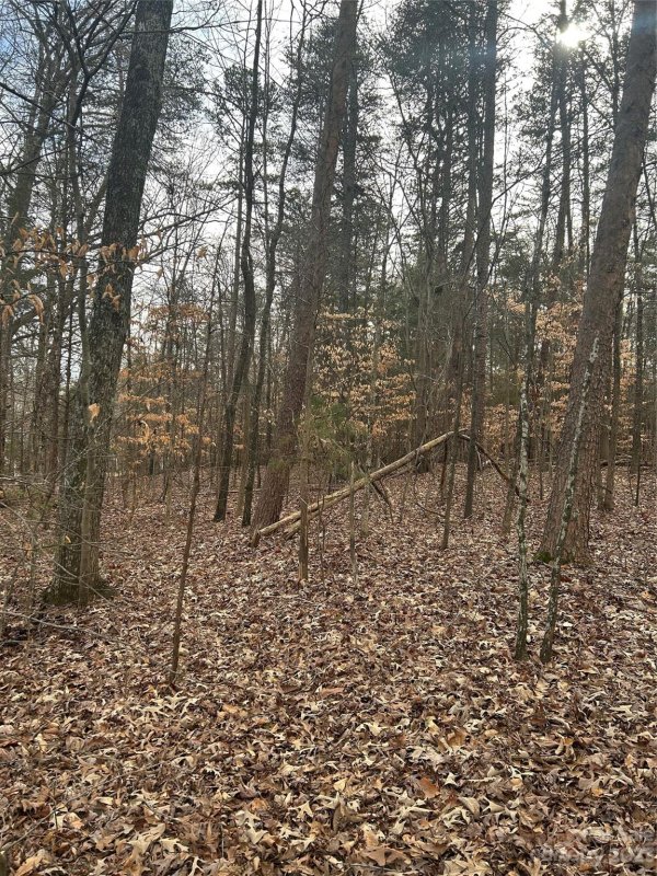 Property image 3 at 3205 Beaman Avenue, Charlotte, NC 28273