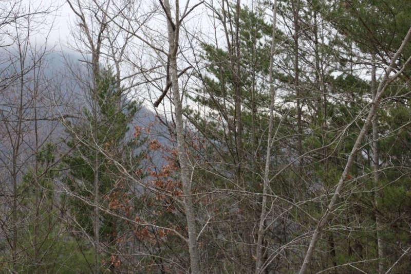 Property image 3 at 0000 Hawks Nest Trail, Lake Lure, NC 28746