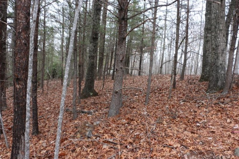 Property image 5 at 0000 Hawks Nest Trail, Lake Lure, NC 28746