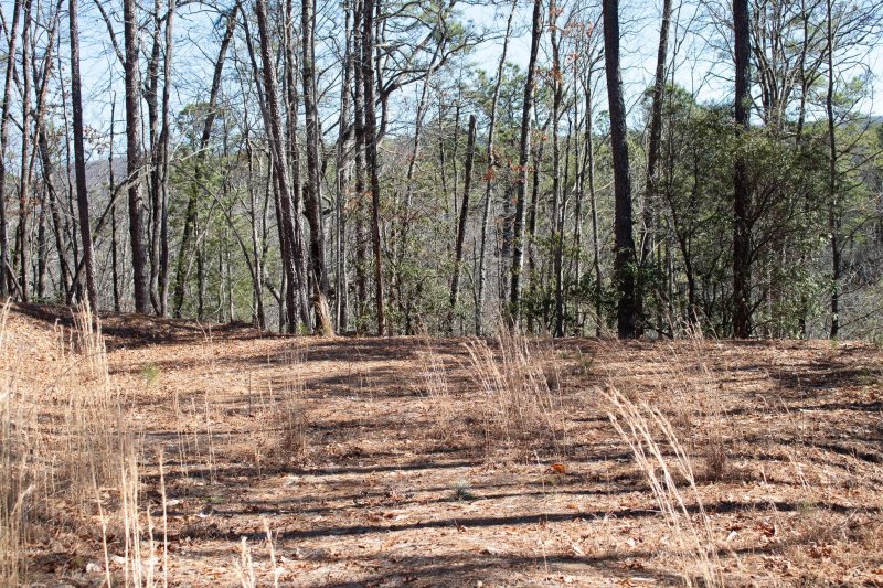 Lot 83 Oak Laurel Road