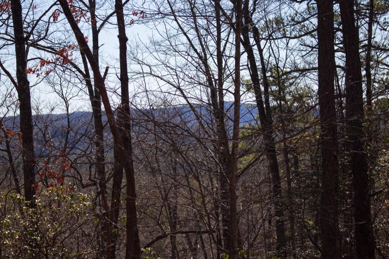 Property image 2 at Lot 83 Oak Laurel Road, Brevard, NC 28712