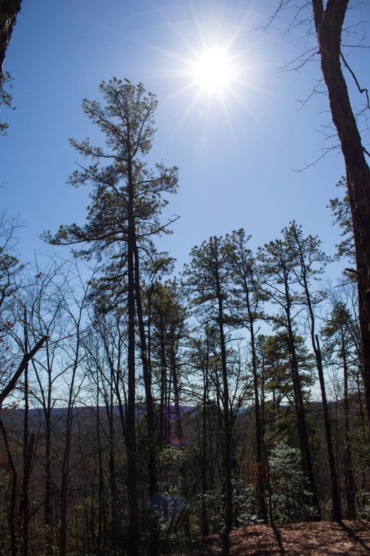 Property image 3 at Lot 83 Oak Laurel Road, Brevard, NC 28712